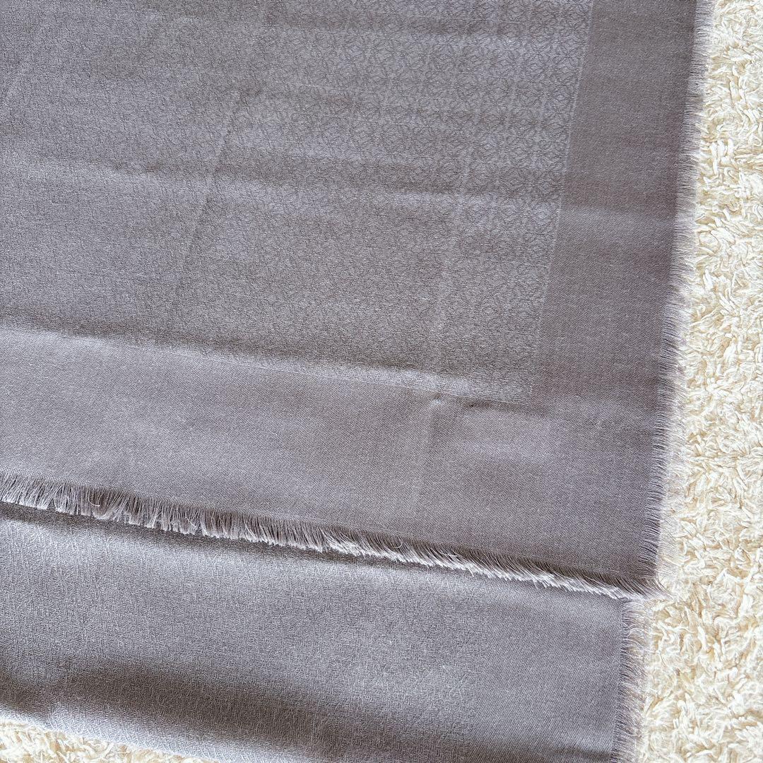 Loewe Stoles Shawls