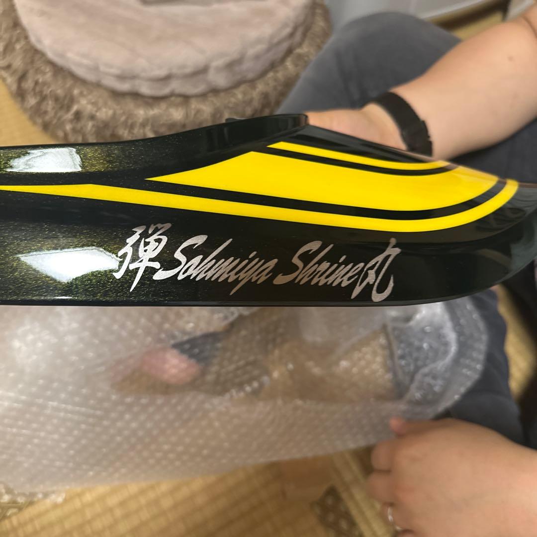 Kawasaki Cowls Fenders Z900Rs 24