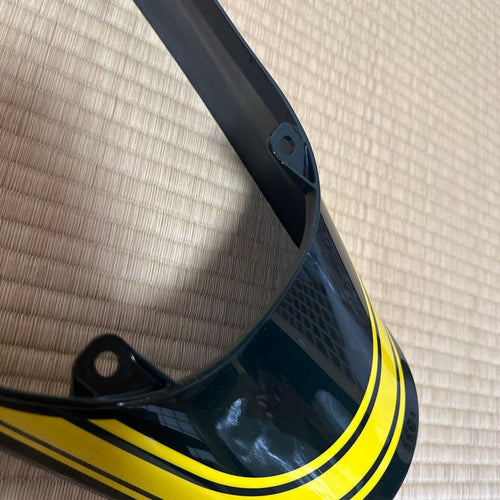 Kawasaki Cowls Fenders Z900Rs 24
