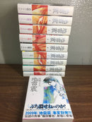 Youth Manga 10