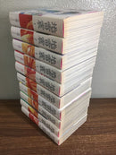 Youth Manga 10