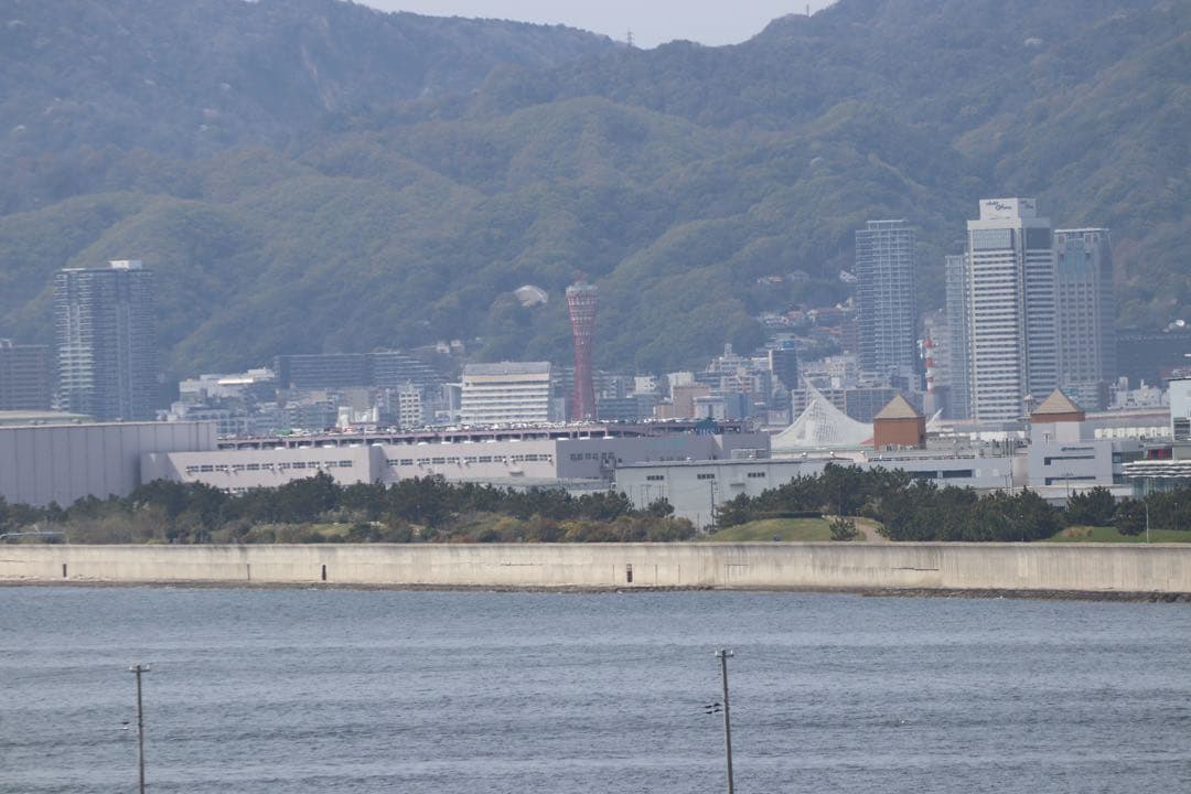 Canon Lens (Zoom) Ef-S 55-250Mm Is