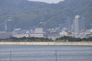 Canon Lens (Zoom) Ef-S 55-250Mm Is