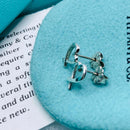 Tiffany Earrings (For Both Ears) Ag925