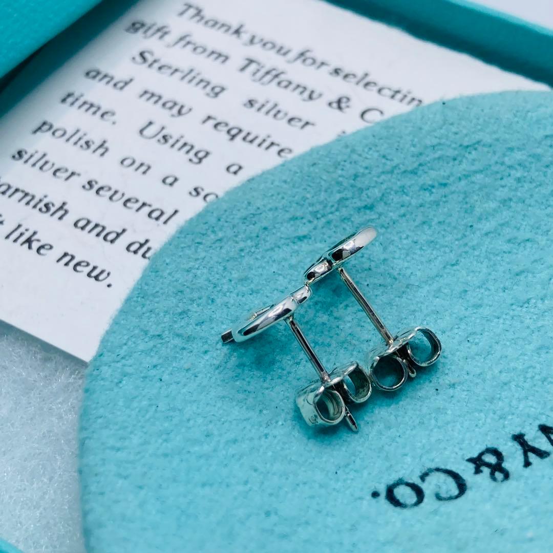 Tiffany Earrings (For Both Ears) Ag925