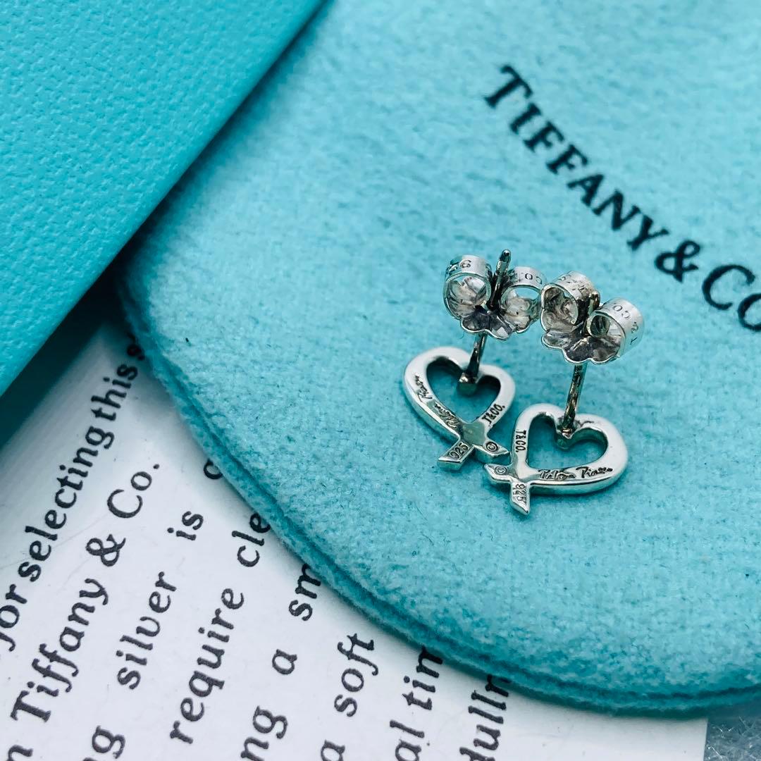 Tiffany Earrings (For Both Ears) Ag925