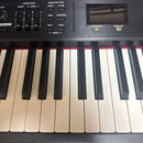 Roland Keyboards Digital Pianos Rd-300Nx