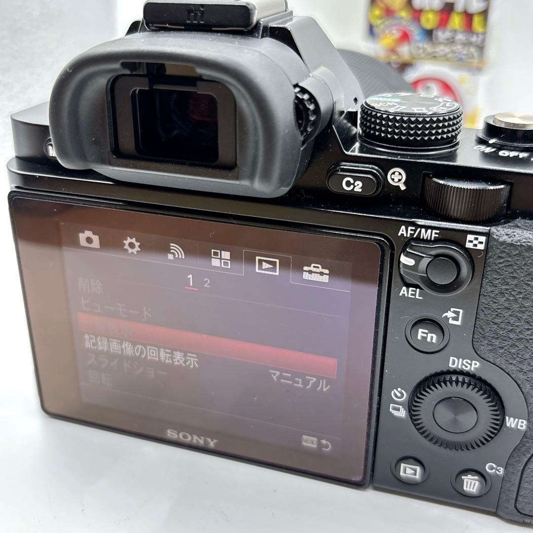 Sony Mirrorless Interchangeable Lens Cameras 7 Ilce-7 292