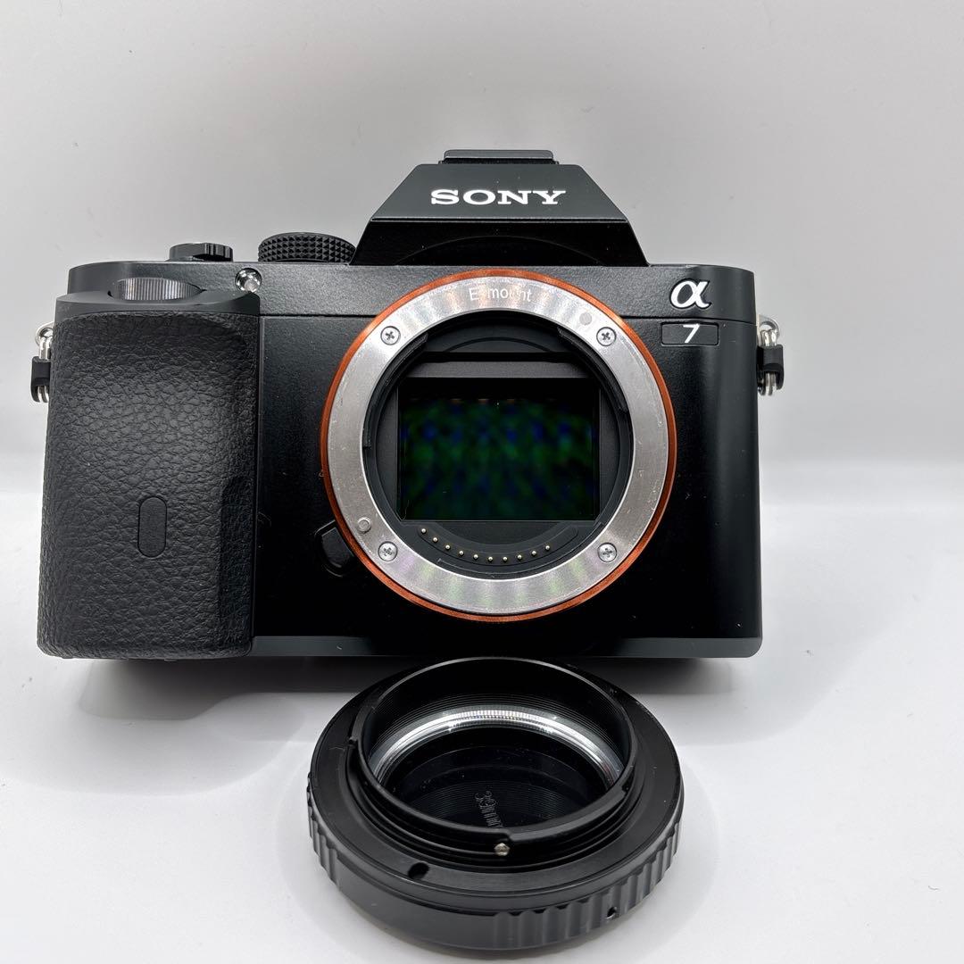 Sony Mirrorless Interchangeable Lens Cameras 7 Ilce-7 292