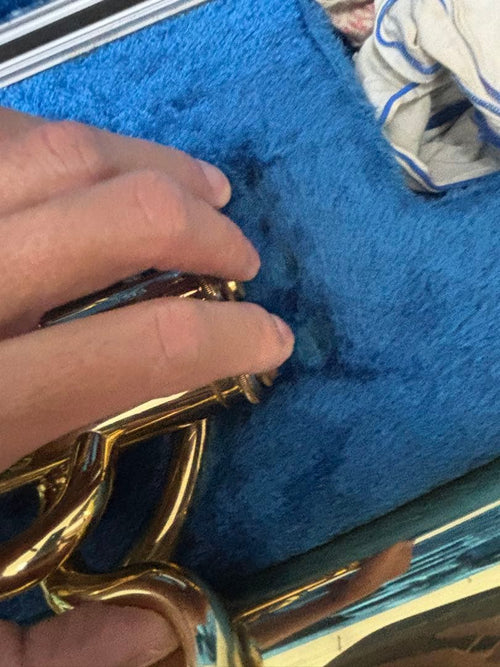 Yamaha Alto Horns Yah-201