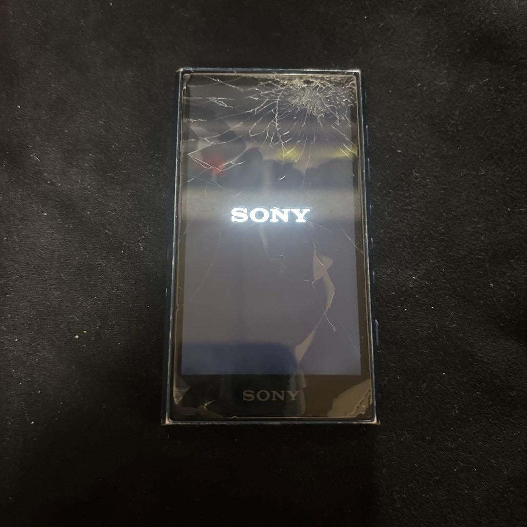 Sony Digital Audio Player Ok Walkman Nw-A306