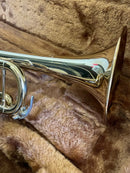 Yamaha Trumpets Ytr-4320E