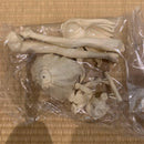 Kotobukiya Other