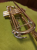 Yamaha Trumpets Briller Glitter L