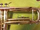 Yamaha Trumpets Briller Glitter L