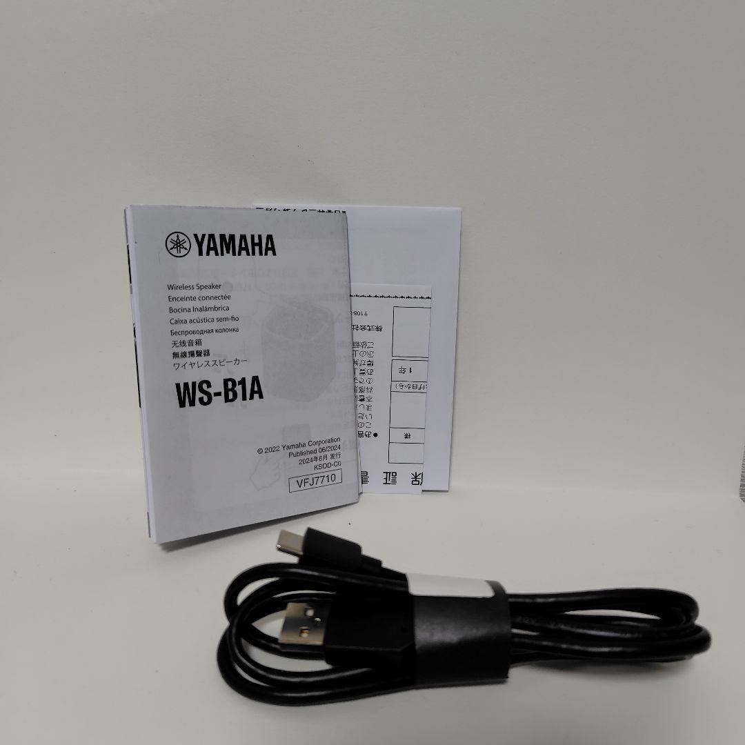 Yamaha Wireless Speakers Yanaha Ws-B1A