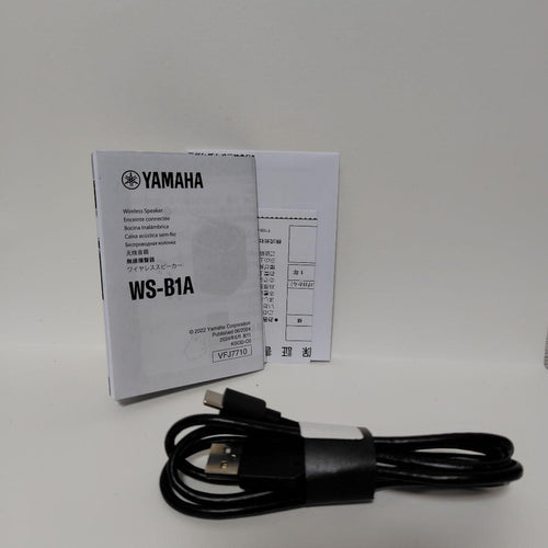 Yamaha Wireless Speakers Yanaha Ws-B1A