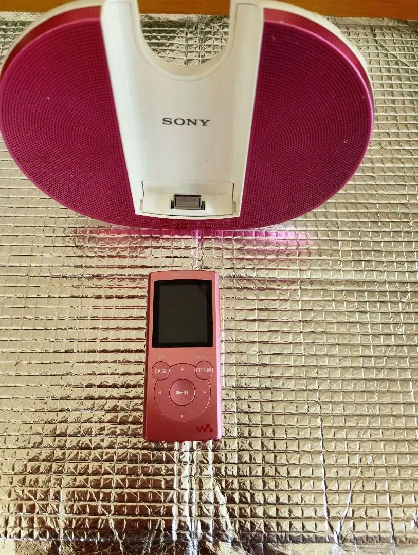 Sony Others