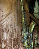 Yamaha Saxophones Yts-23
