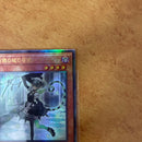 Yu-Gi-Oh! Ocg Duel Monsters (Japanese)
