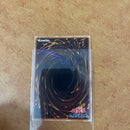 Yu-Gi-Oh! Ocg Duel Monsters (Japanese)