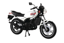 Others 1/12 Rz250