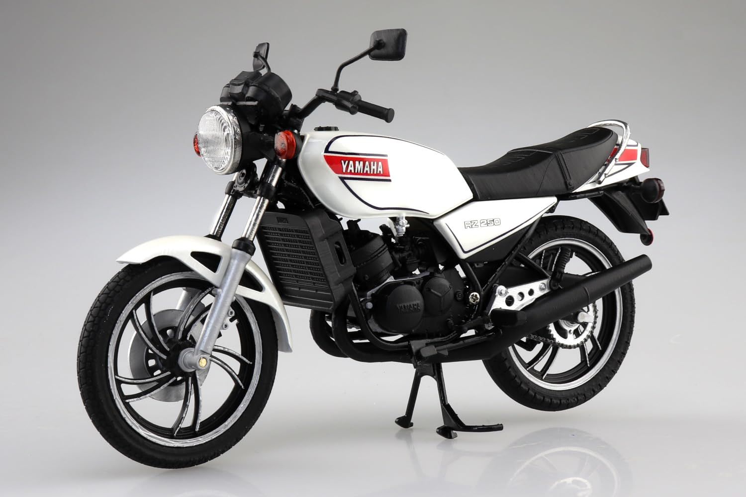 Others 1/12 Rz250