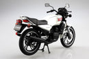 Others 1/12 Rz250