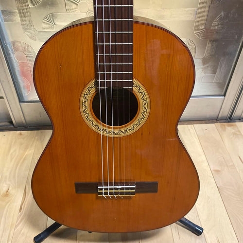Yamaha Classical Guitars G-100