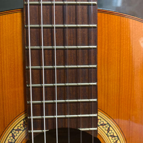 Yamaha Classical Guitars G-100