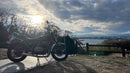 Kawasaki Motorcycle Frames Z400Ltd