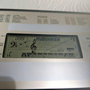 Yamaha Keyboards Digital Pianos Psr-E203 61