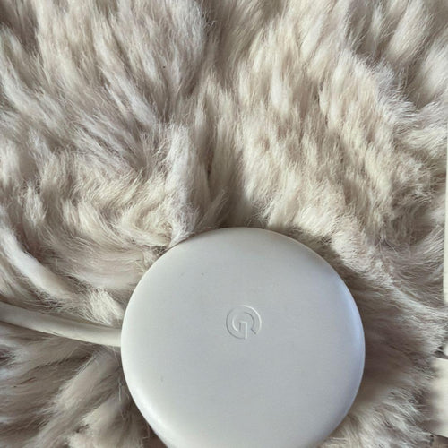 Google Iot Devices (Smart Nest Mini Light Gray