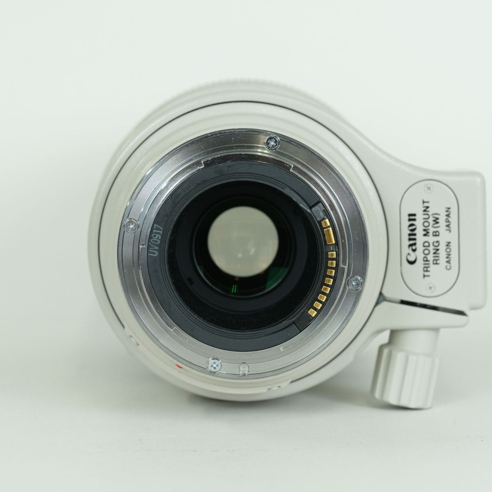 Canon Lens (Zoom) Ef100-400Mm F4.5-5.6L Is Usm Ef
