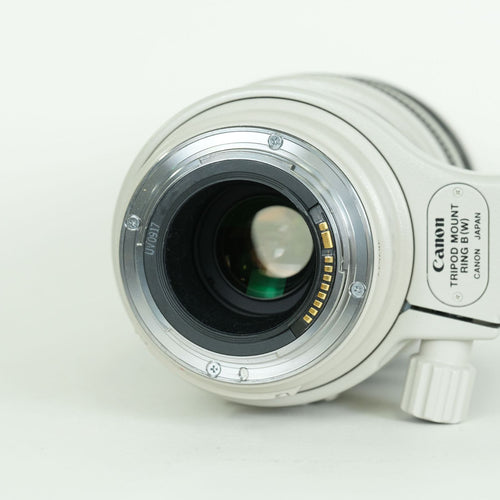 Canon Lens (Zoom) Ef100-400Mm F4.5-5.6L Is Usm Ef
