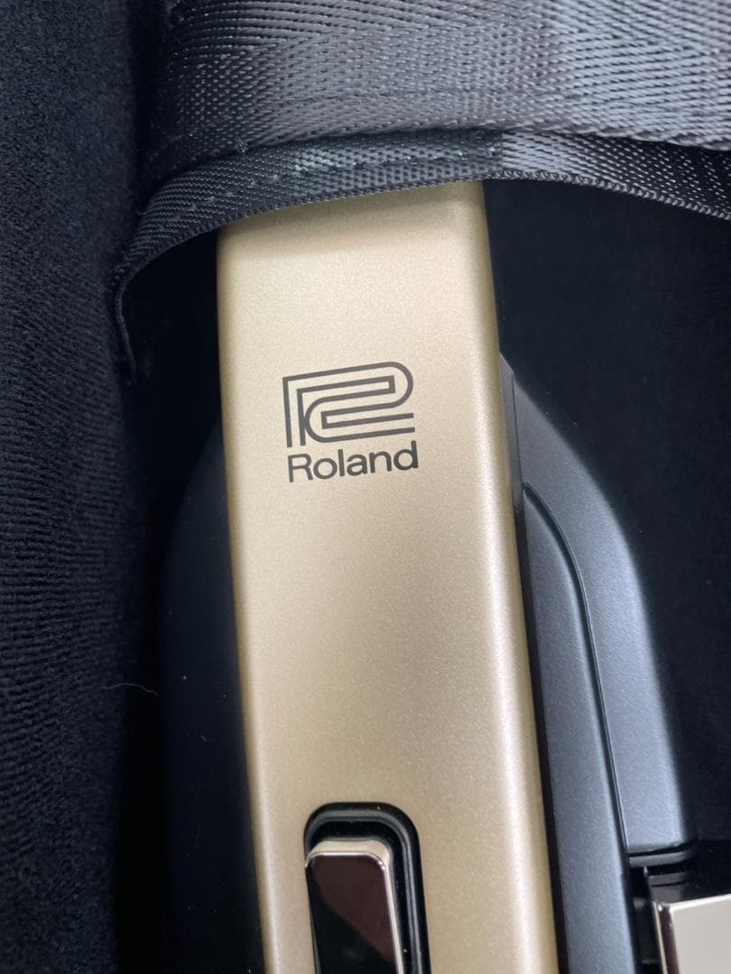 Roland Other 7243 Aerophone Ae-20
