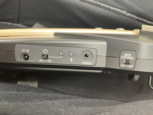 Roland Other 7243 Aerophone Ae-20