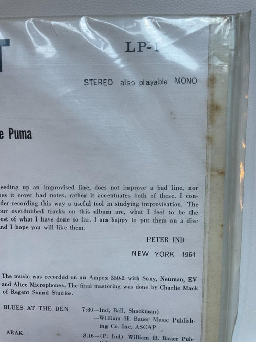 Others Peter Ind-Looking Out-Joe Puma-Sal Masca