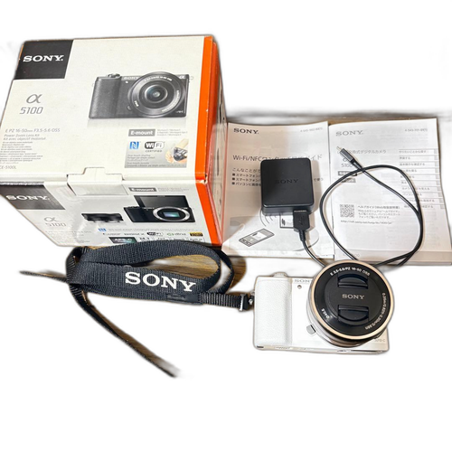 Sony Mirrorless Interchangeable Lips 5100