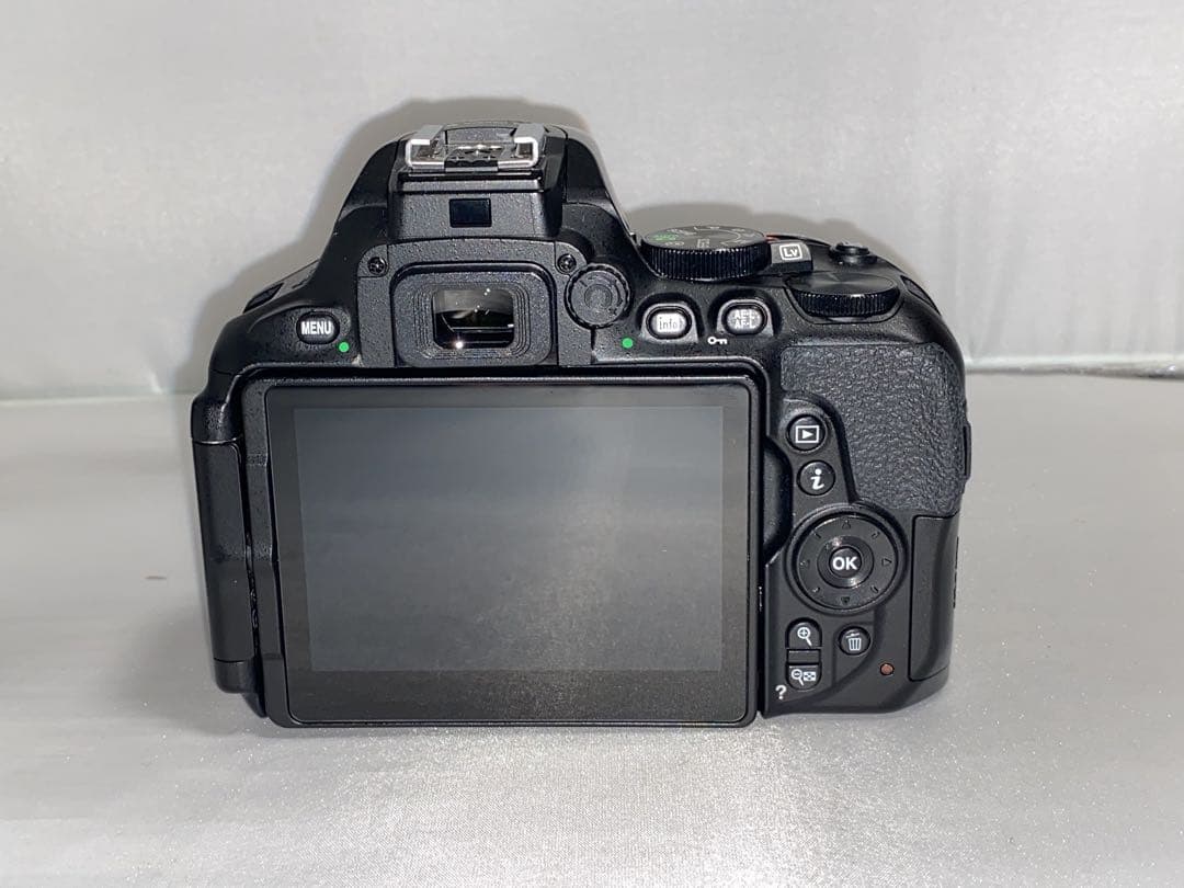 Nikon Digital Slrs D5600 18-55Mm Vr