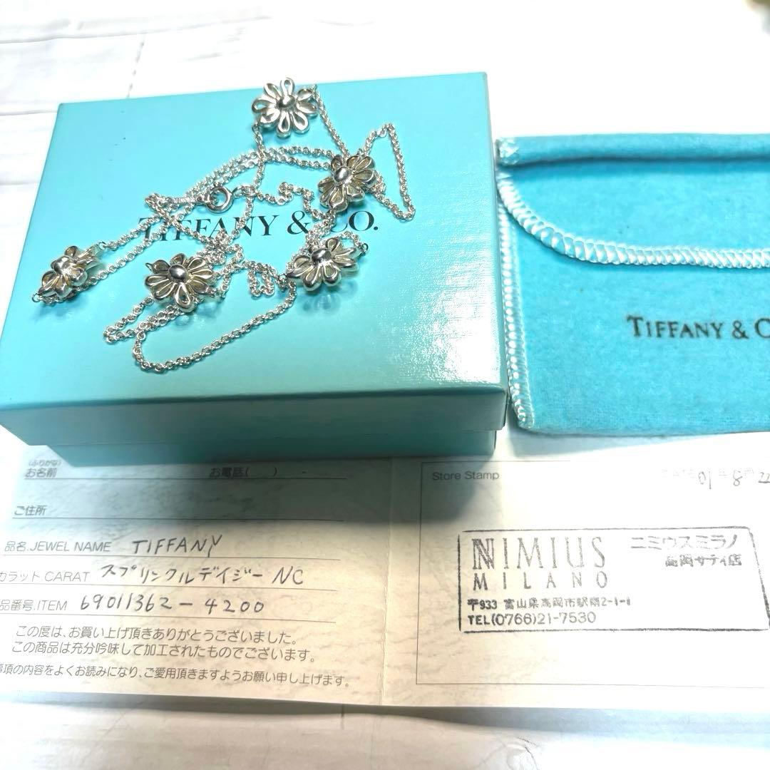 Tiffany Necklaces 5P 925
