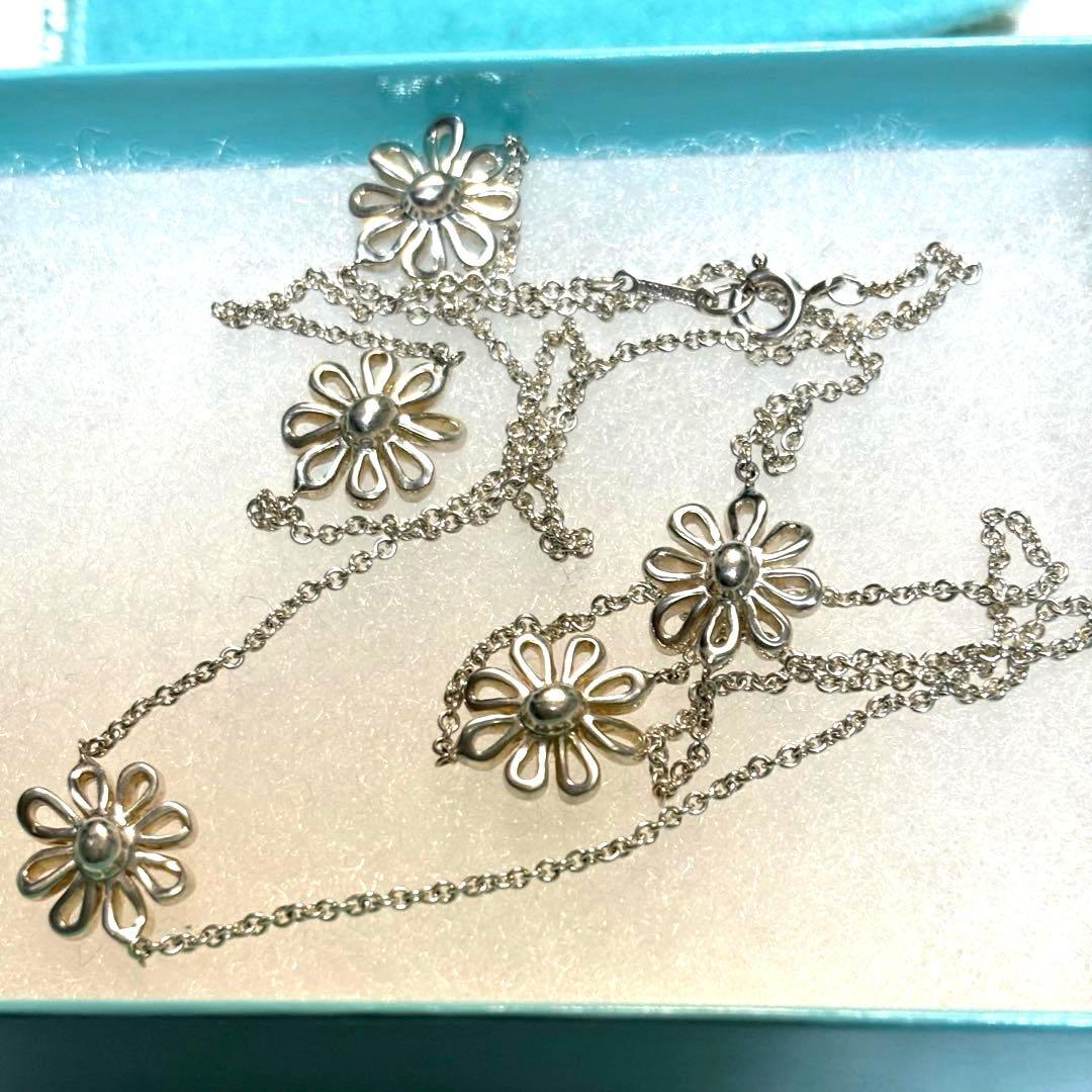 Tiffany Necklaces 5P 925
