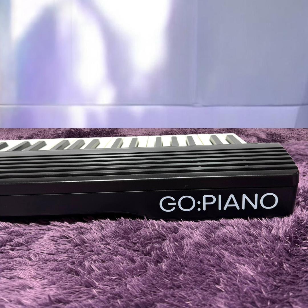 Roland Keyboards Digital Pianos Go-61P Go:Piano 61