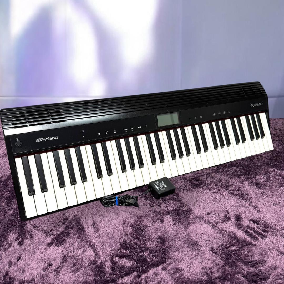 Roland Keyboards Digital Pianos Go-61P Go:Piano 61