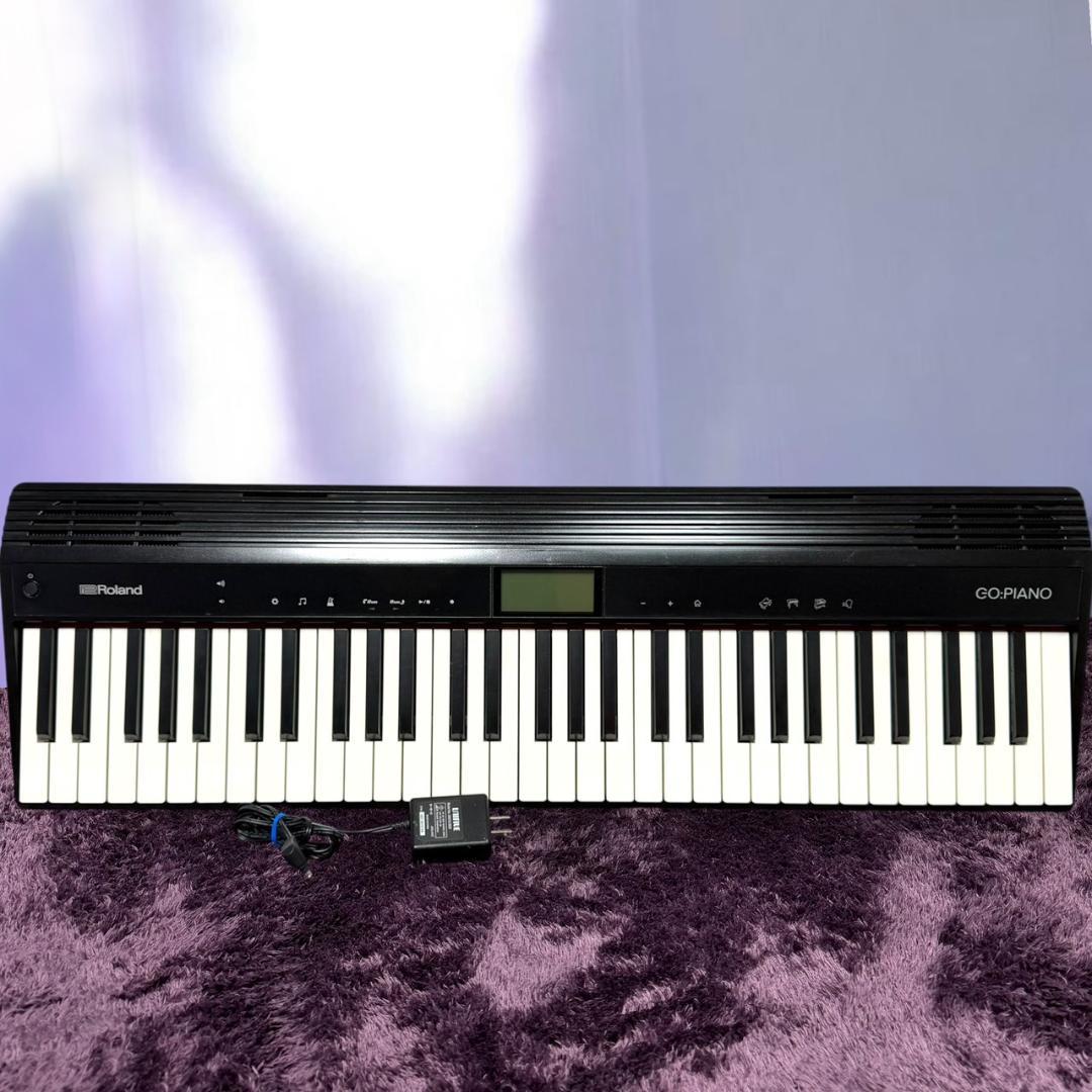 Roland Keyboards Digital Pianos Go-61P Go:Piano 61