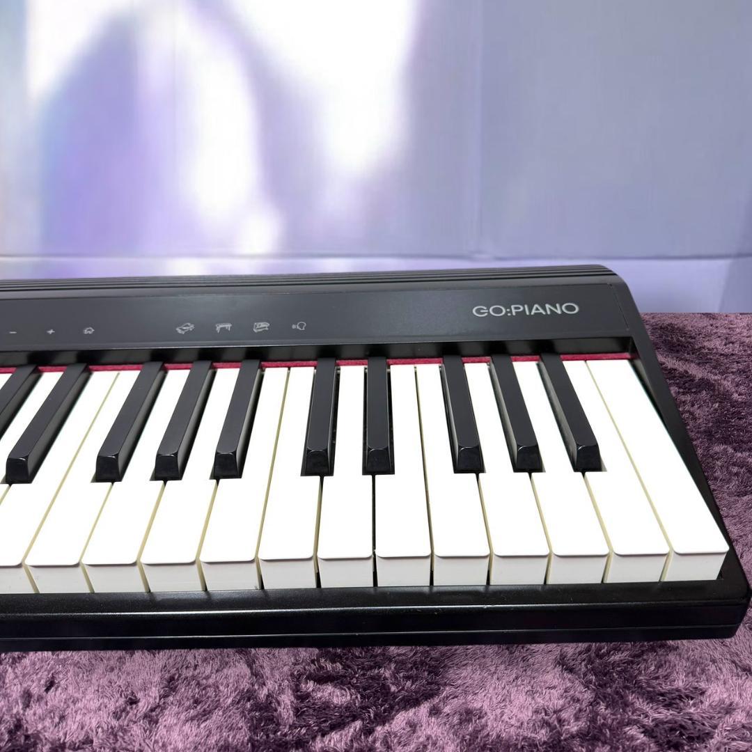 Roland Keyboards Digital Pianos Go-61P Go:Piano 61