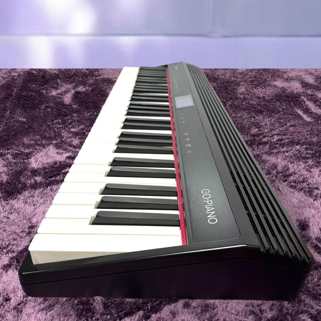 Roland Keyboards Digital Pianos Go-61P Go:Piano 61