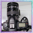 Reflex numériques Nikon D70