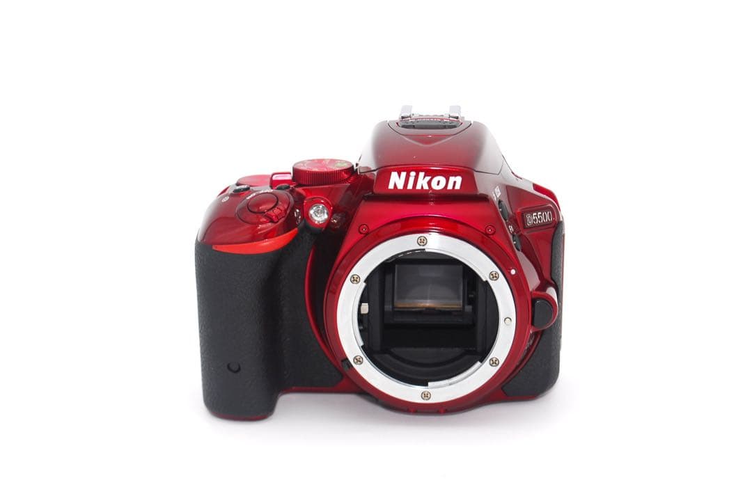 Nikon Digital Slrs Sd D5500