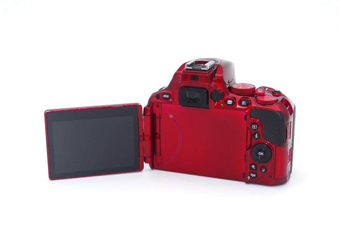 Nikon Digital Slrs Sd D5500